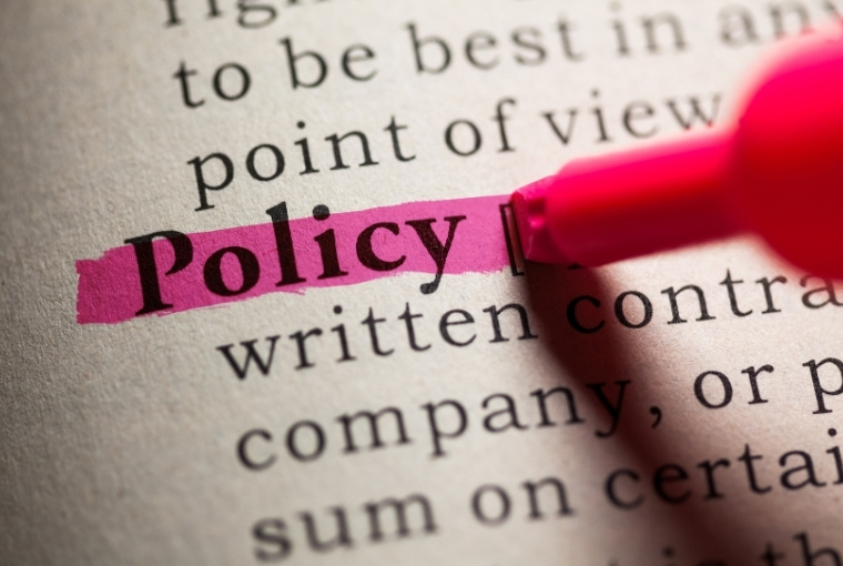 policy word in the dictionary